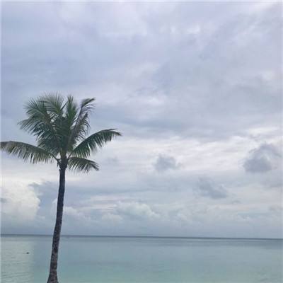 团队行动手游下载
